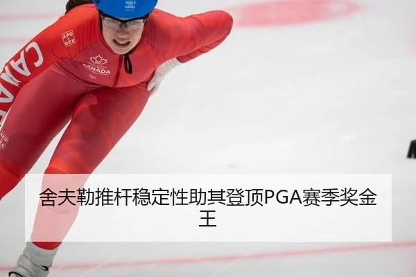 she-fu-lei-tui-gan-wen-ding-xing-zhu-qi-deng-ding-sai-ji-jiang-jin-wang-3-700.jpg