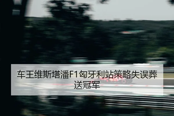 che-wang-wei-si-ta-pan-xiong-ya-li-zhan-ce-lve-shi-wu-zang-song-guan-jun-2-483.jpg