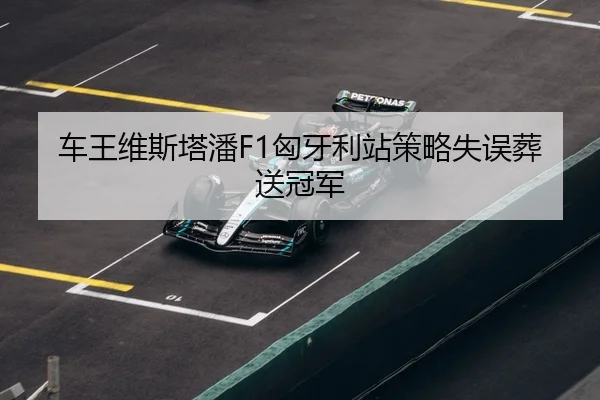 che-wang-wei-si-ta-pan-xiong-ya-li-zhan-ce-lve-shi-wu-zang-song-guan-jun-3-349.jpg