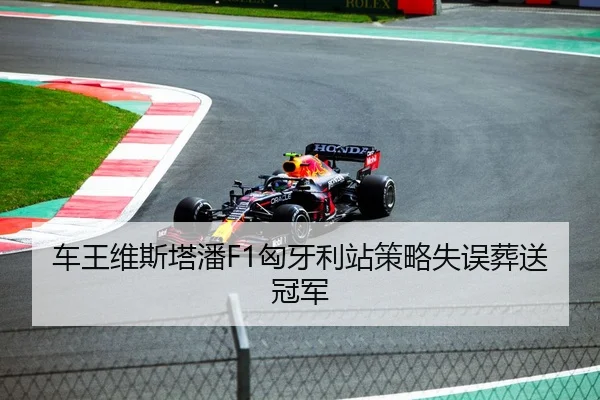 车王维斯塔潘F1匈牙利站策略失误葬送冠军