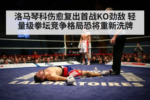 洛马琴科伤愈复出首战KO劲敌 轻量级拳坛竞争格局恐将重新洗牌