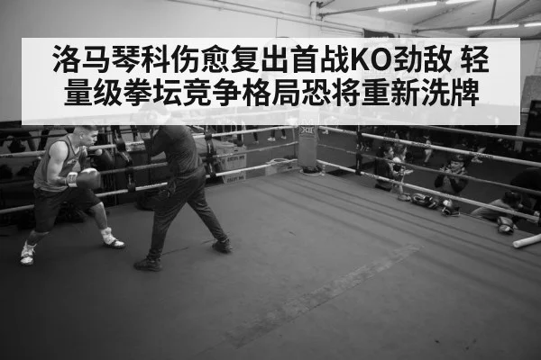 boxer training gym
